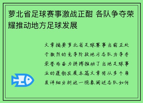 萝北省足球赛事激战正酣 各队争夺荣耀推动地方足球发展