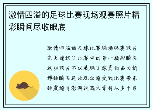 激情四溢的足球比赛现场观赛照片精彩瞬间尽收眼底