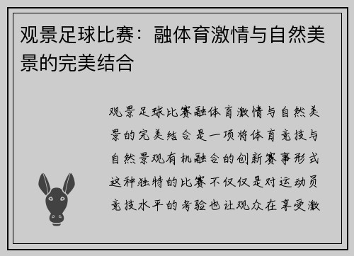 观景足球比赛：融体育激情与自然美景的完美结合