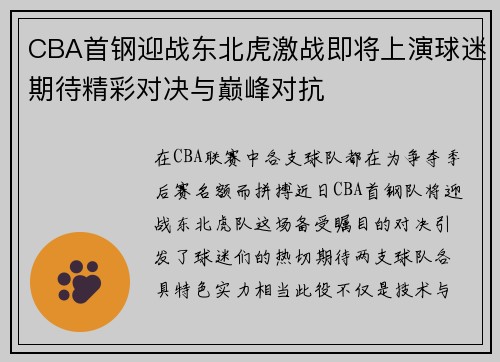 CBA首钢迎战东北虎激战即将上演球迷期待精彩对决与巅峰对抗
